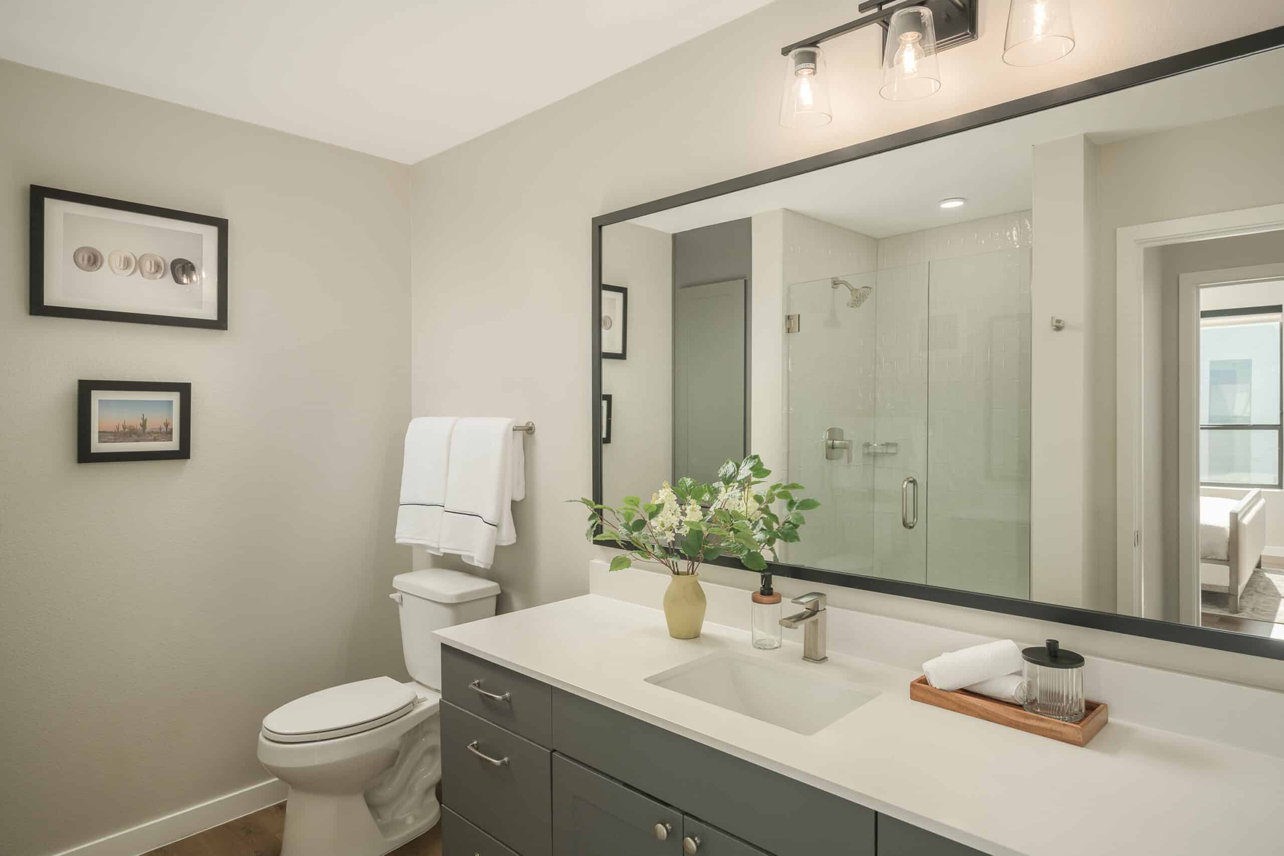 Bathroom interior with a large mirror, gray vanity, glass shower enclosure, and decorative elements.